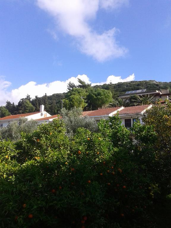 Aggelos Kefalonia Lassi Ласи Екстериор снимка